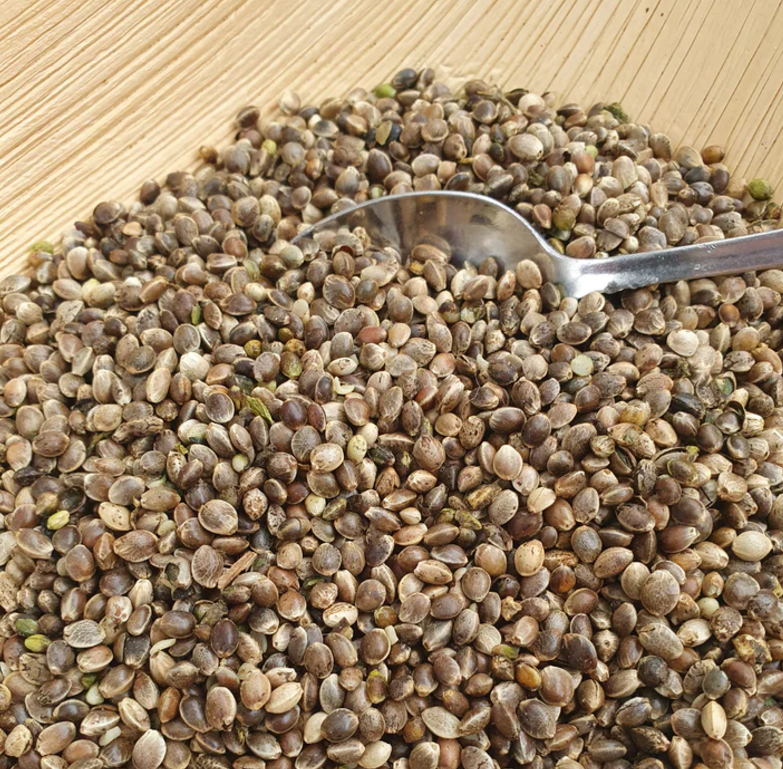 Bio-Speise-Hanfsamen (ungeschält) 15 kg Gebinde.