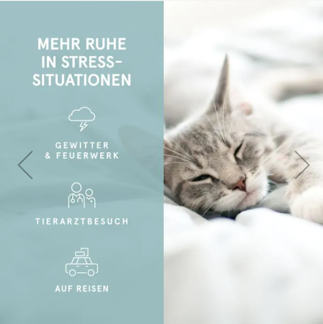 Premium CBD-Öl für Katzen mit 2,1% CBD und feinem Lachsöl, 10ml