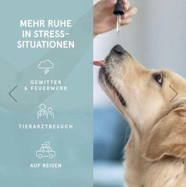 Premium CBD-Öl für Hunde mit 4,2% CBD und feinem Lachsöl, 10ml