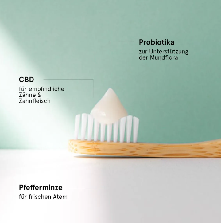 NEU Probiotische CBD Zahnpasta – ProBalance Zahncreme mit CBD & Probiotika (75 ml)