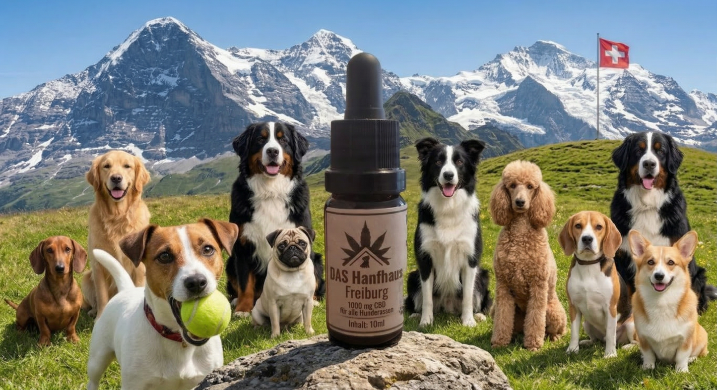 CBD Öl für Hunde 1000mg. 3er Set (Sparangebot)