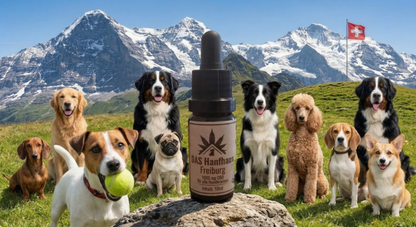 CBD Öl für Hunde 1000mg. 3er Set (Sparangebot)